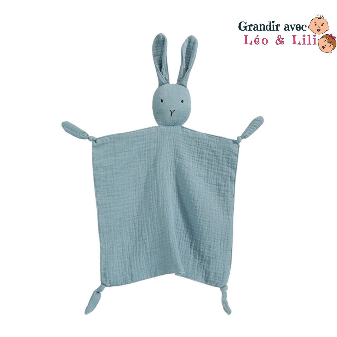 le-doudou-lapin-couverture