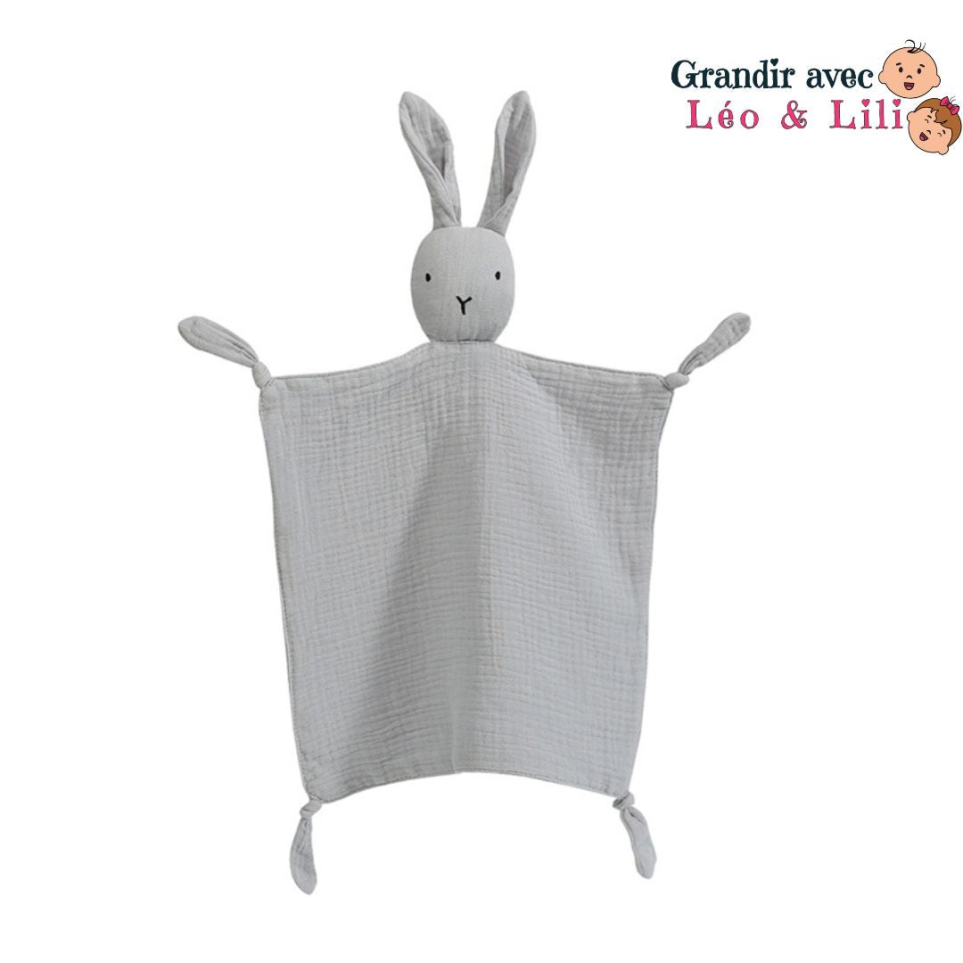 le-doudou-lapin-couverture