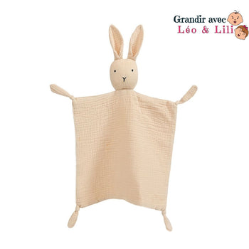 le-doudou-lapin-couverture