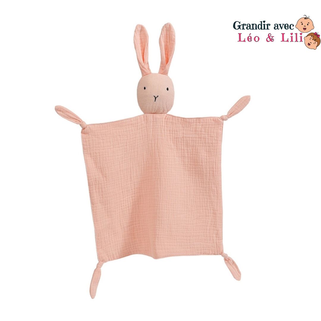 le-doudou-lapin-couverture